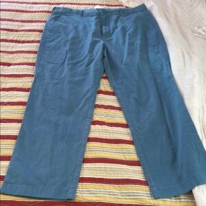 j Crew light blue plants